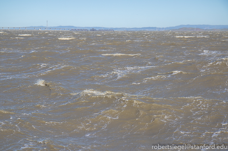 palo alto baylands